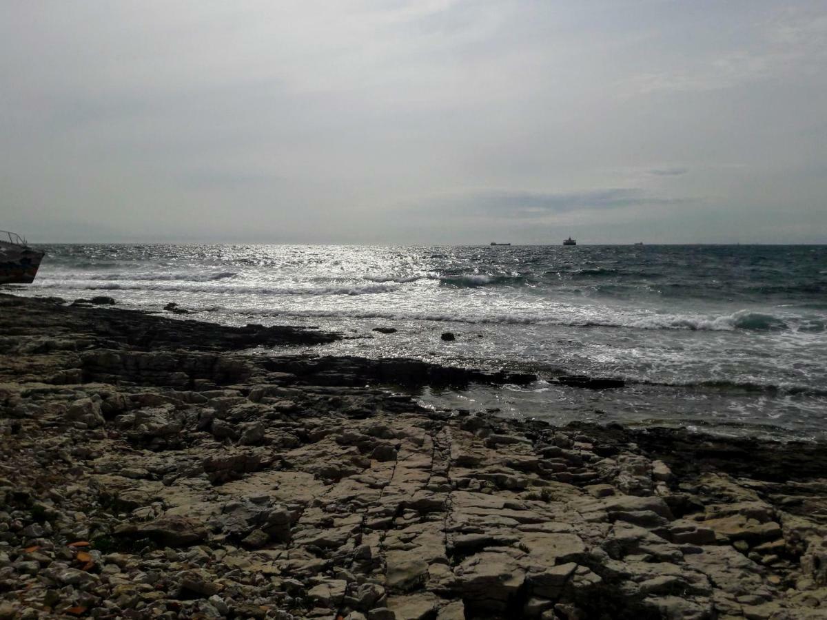 Hébergements sur la côte bleue bord de mer Martigues Extérieur photo